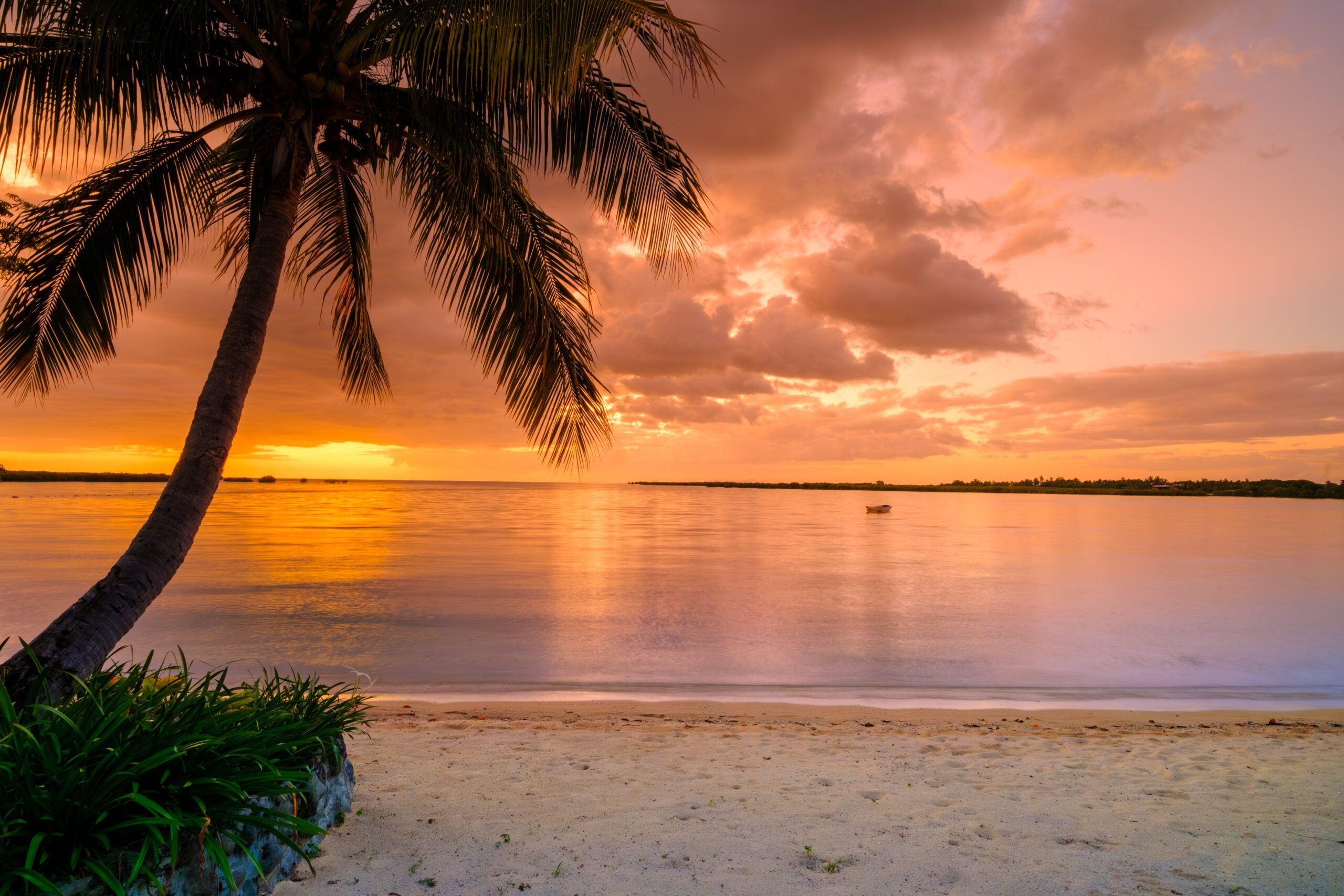 Vuda Marina Fiji yachts and waterfront dining
