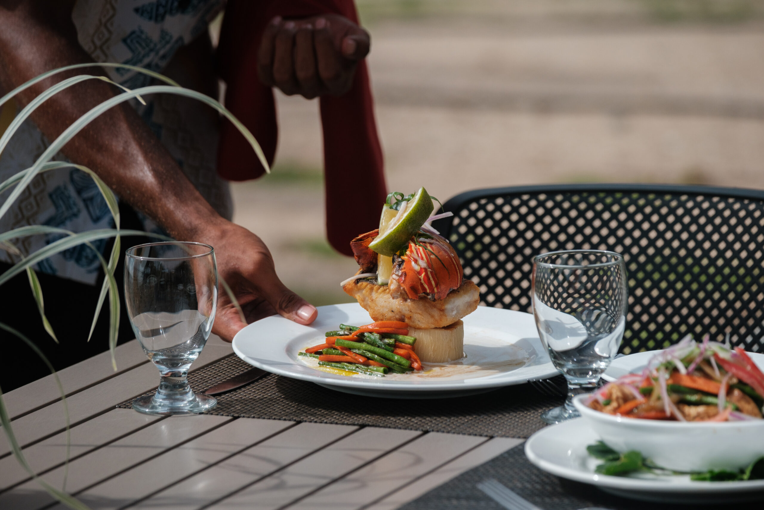 Landers-2025-DSCF1268